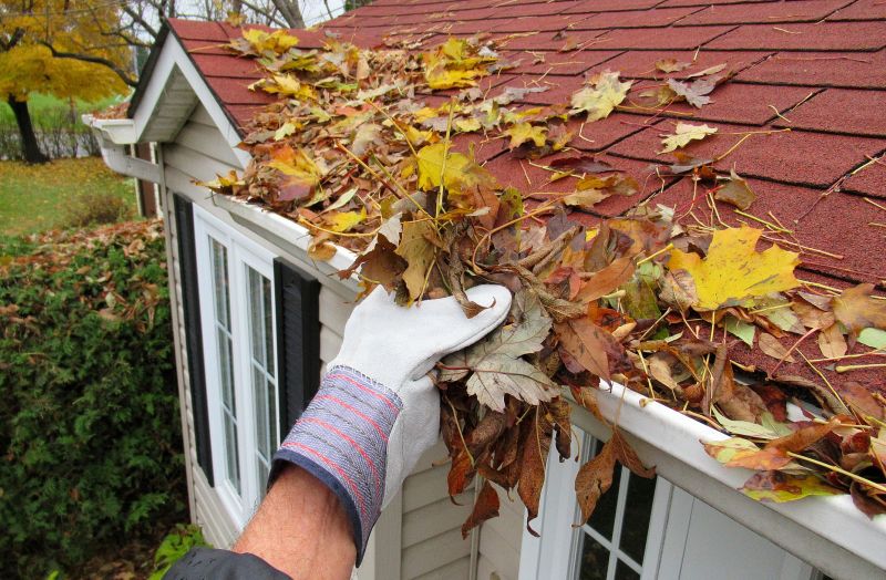 Fall Gutter Clearing